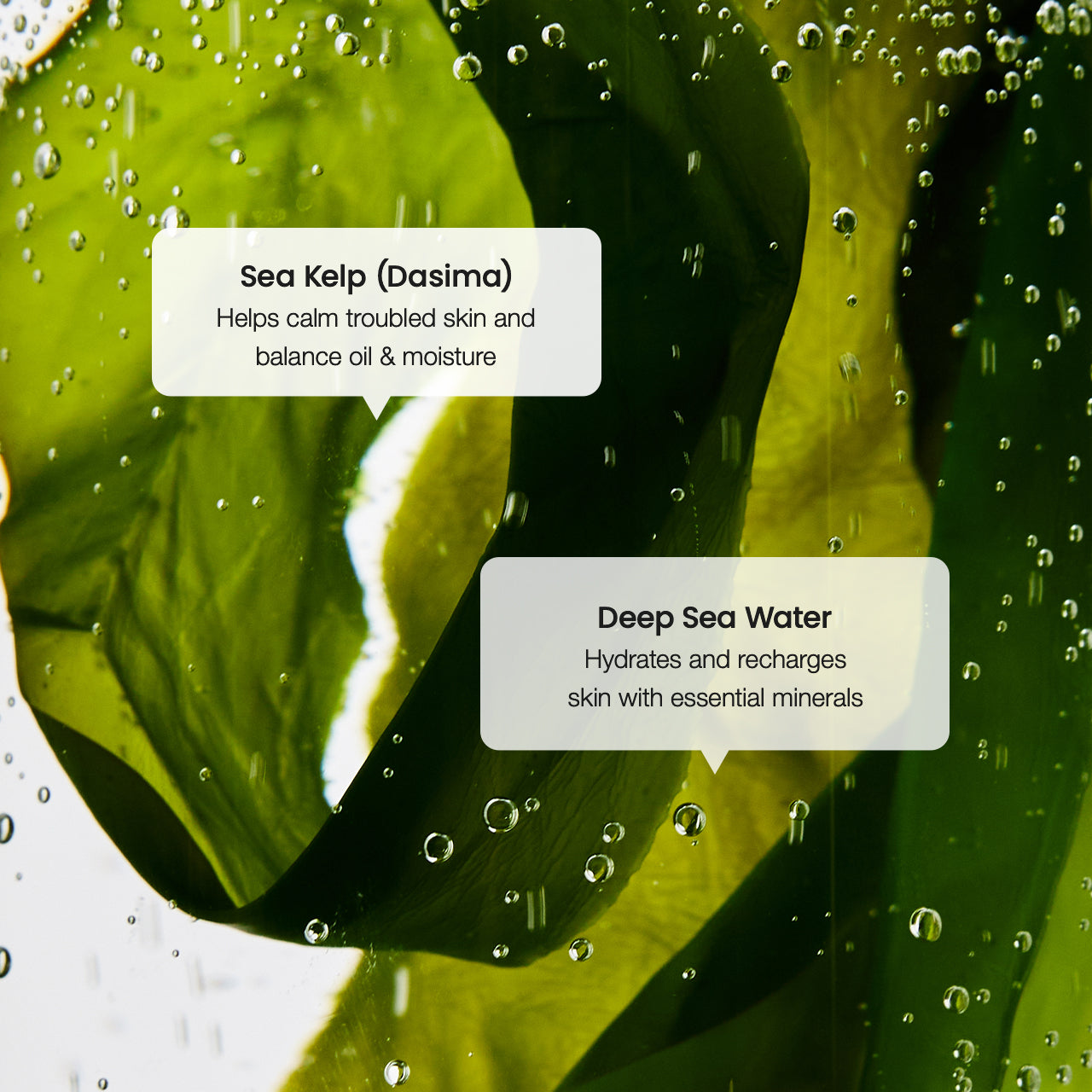 biodance-sea-kelp-refreshing-serum-gesichtsserum-unreine-haut image 6