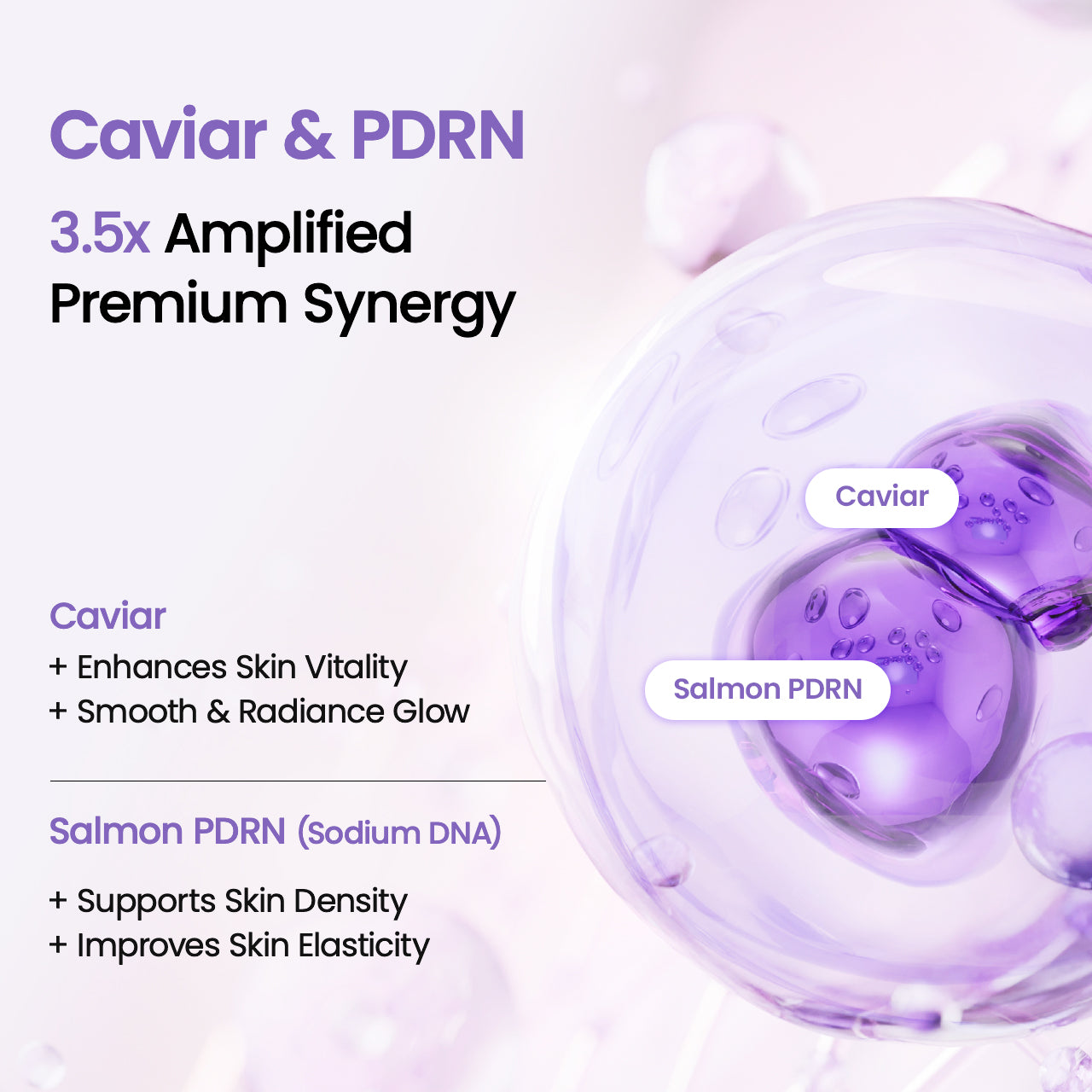 biodance-caviar-pdrn-toner-pads-gel-glow image 4